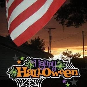 Meet your Posher, Wilbur